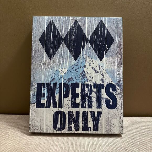 Experts Only Ski Theme Wall Decor EUC - Picture 1 of 6